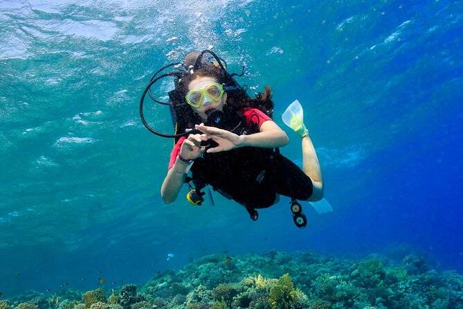 5-Day Dive Pack for Certified Divers in Marsa Alam
