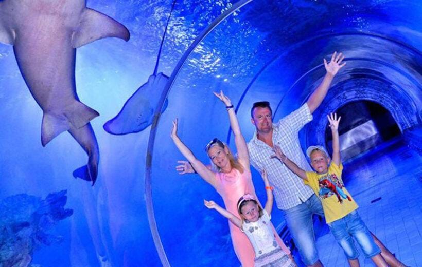 Grand Aquarium