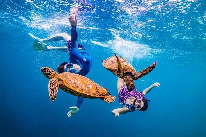 Sharm el naga Snorkeling Trip