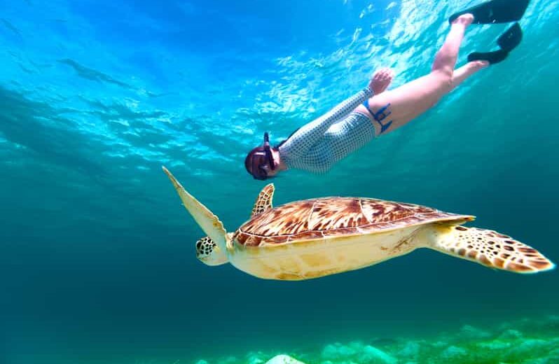 Marsa Alam Snorkeling Trip with Turtles and Lunch