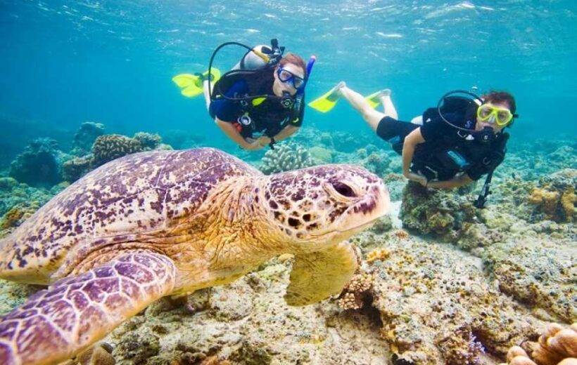 Marsa Alam scuba diving day tour
