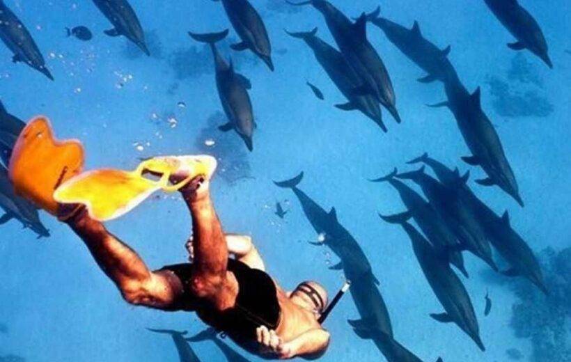 Full day Marsa Alam Snorkeling at Satayh Dolphin Reef