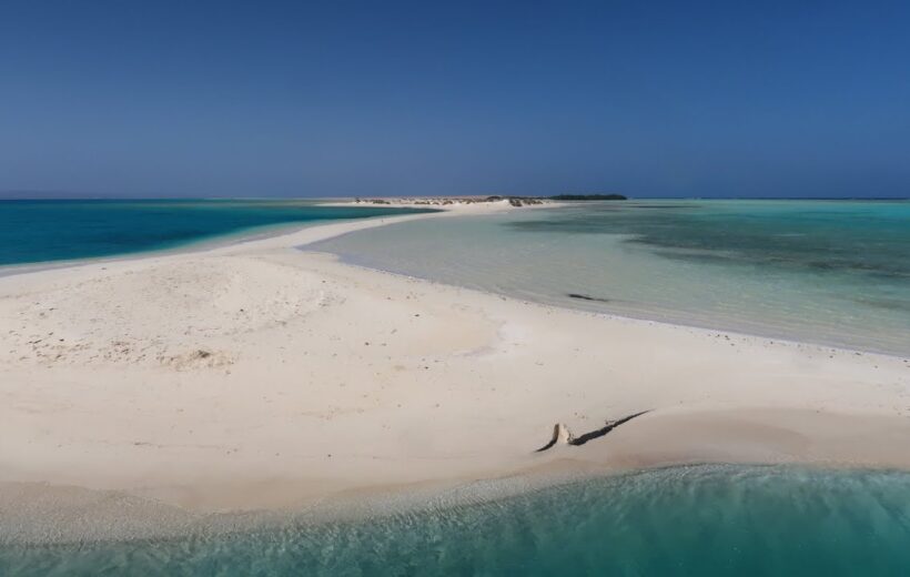 Day trip Snorkelling at Wadi El Gemal National Park from Marsa Alam